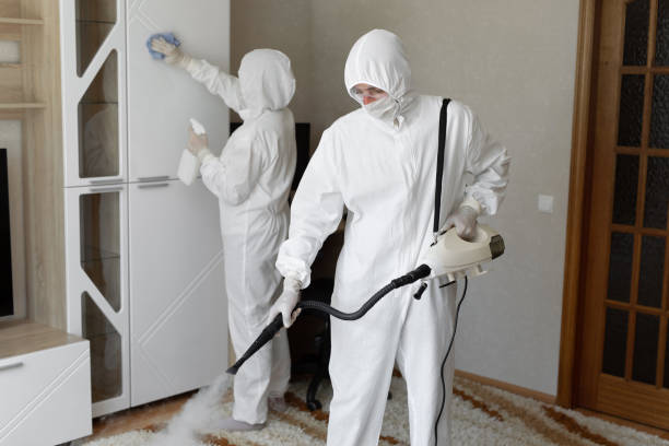 24/7 Emergency Odor Removal experts in Birmingham, NJ